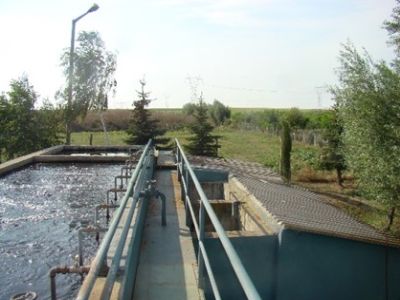 Çevreye Duyarlılık