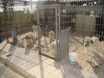 Çevreye Duyarlılık