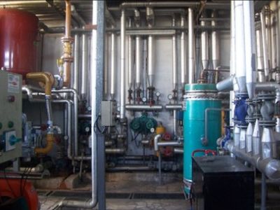 Çevreye Duyarlılık