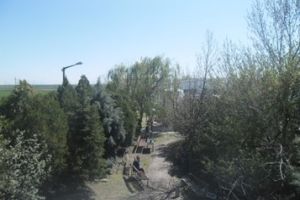 Çalışan Memnuniyeti