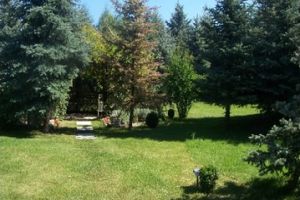 Çalışan Memnuniyeti